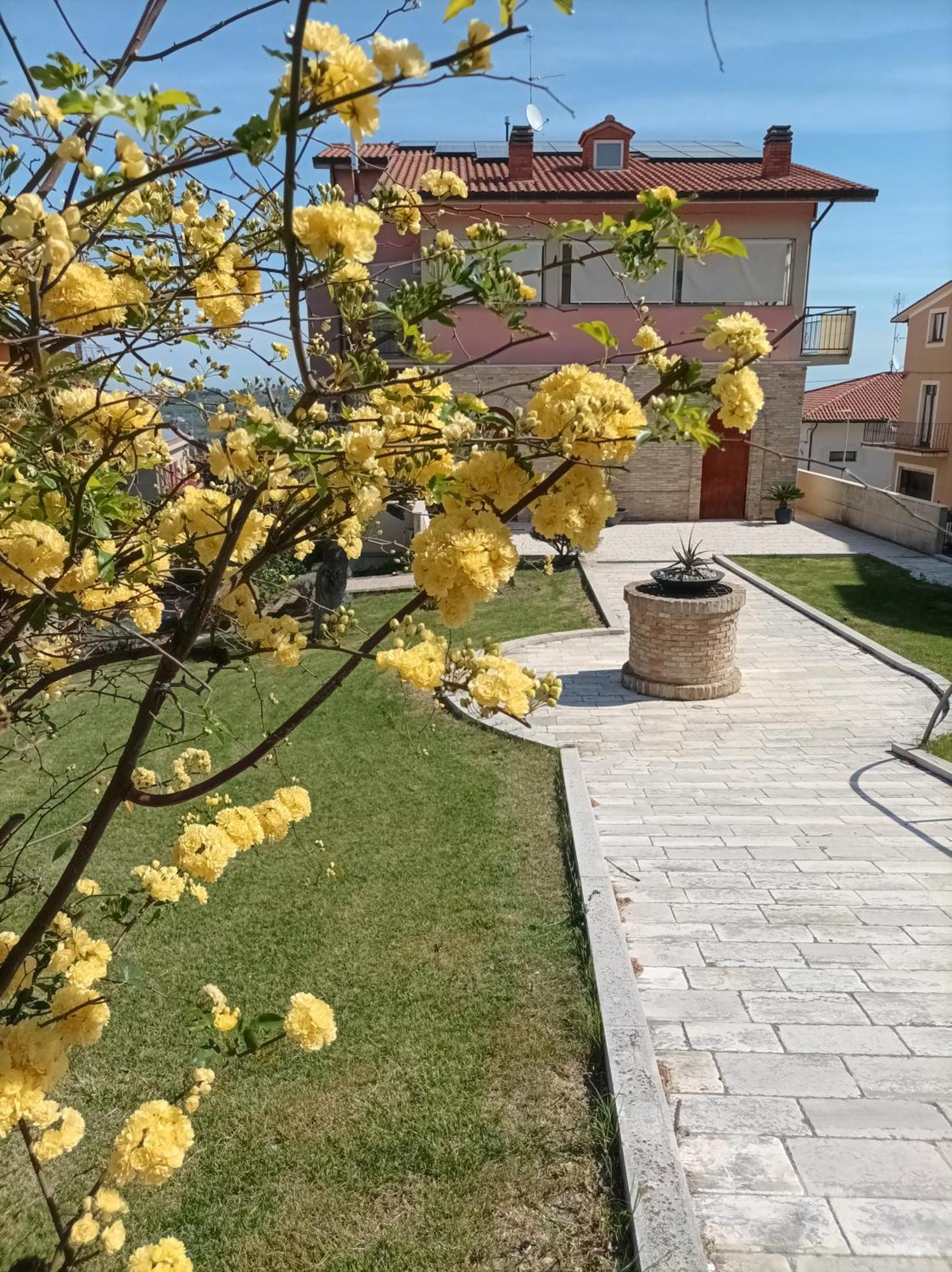 Villa Istonia Cupello エクステリア 写真