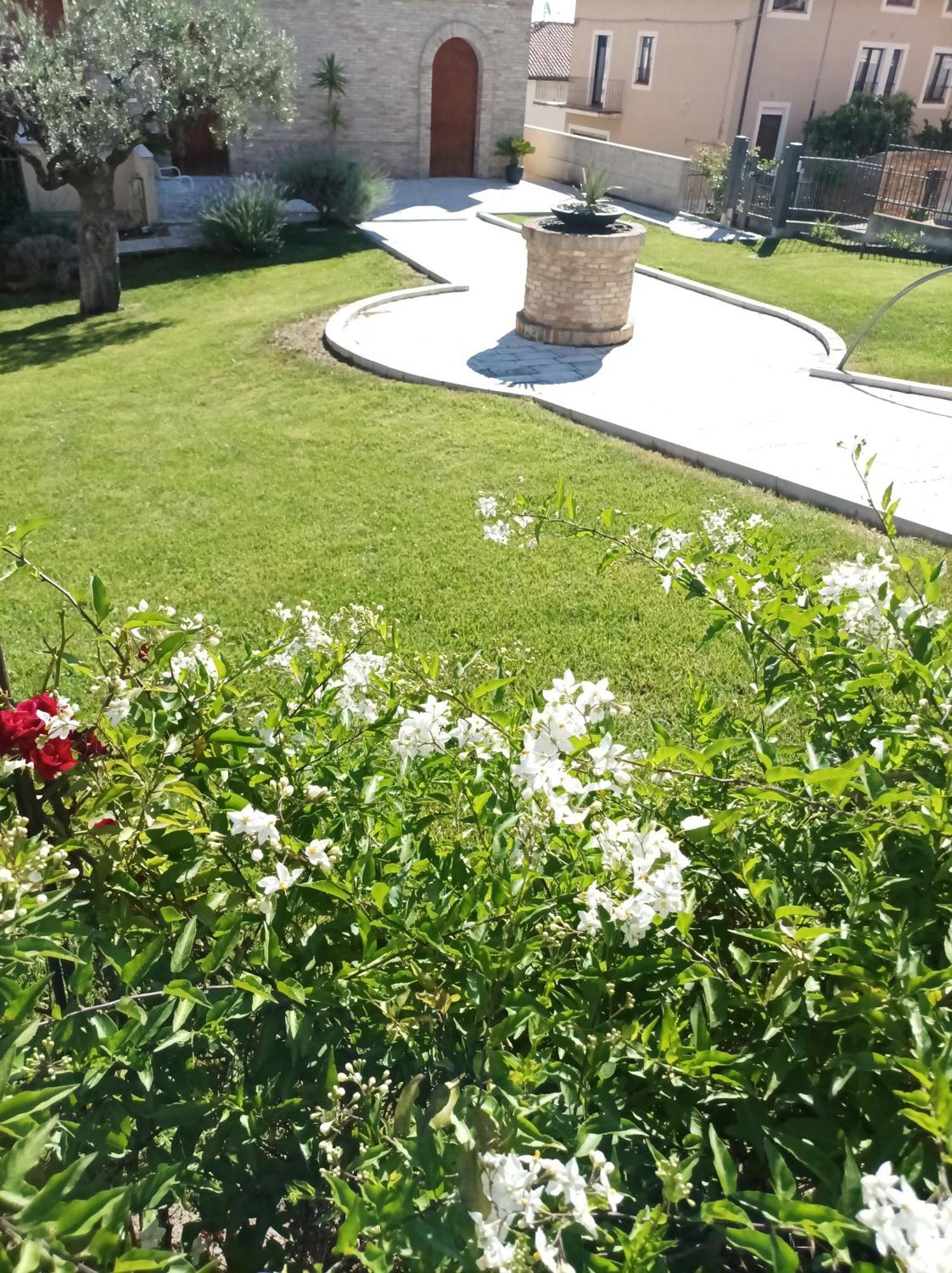 Villa Istonia Cupello エクステリア 写真